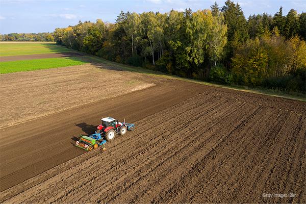 policy_forests-and-agriculture